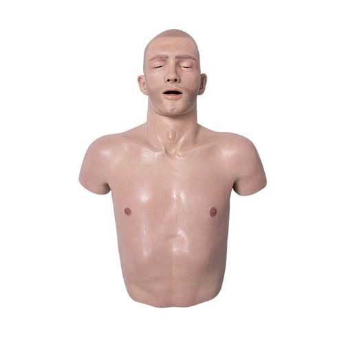 Simbodies Torso Trainer on Table
