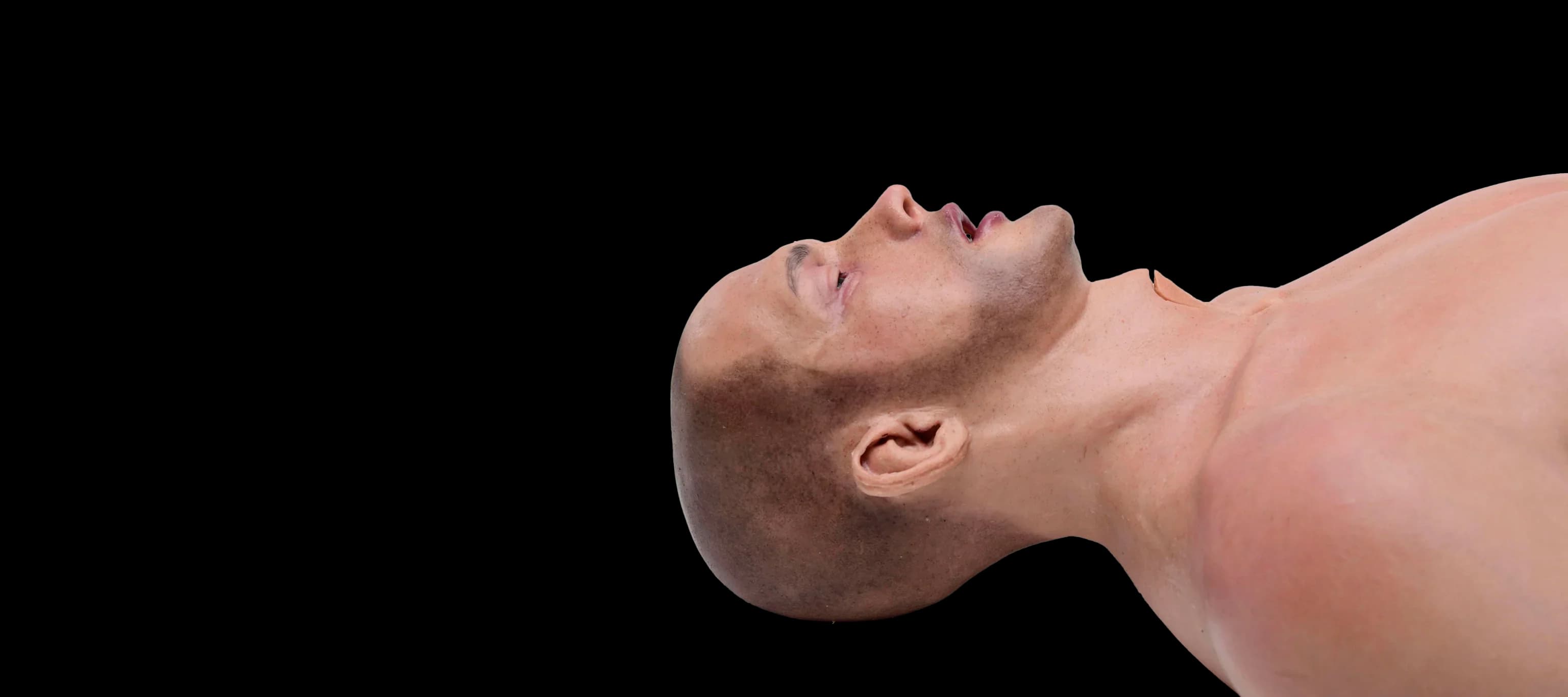 Simbodies Training Header